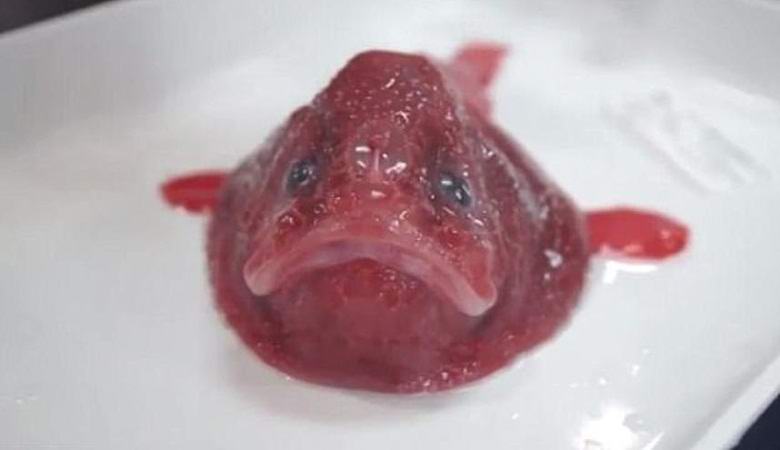 Nepoznata nauka stvorenja pronađena na obali Australije