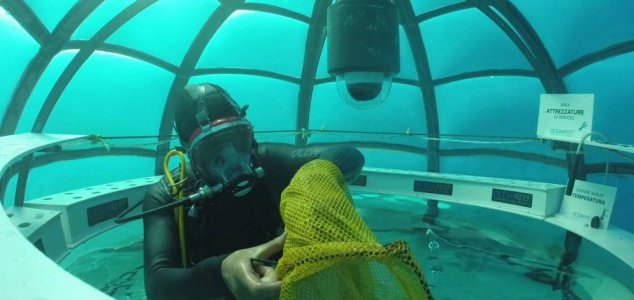 Naučnici će uzgajati biljke jestive za ljude pod vodom