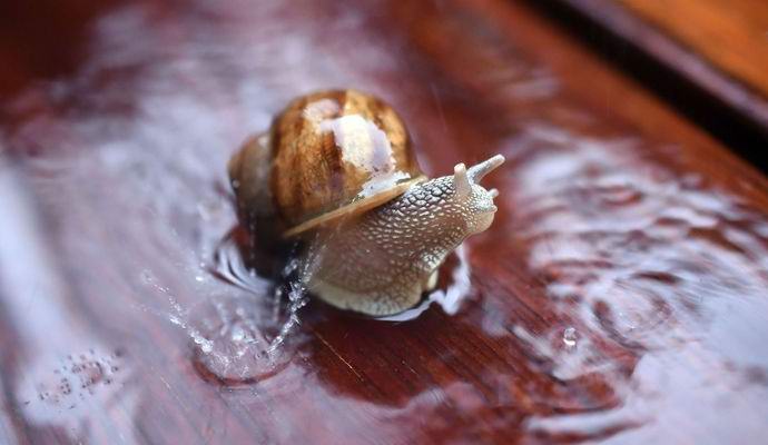 Naučnici su otkrili