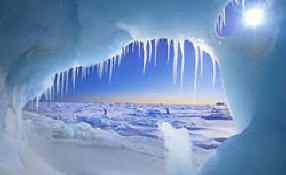 Naučnici su život pronašli pod ledom Antarktika. Video