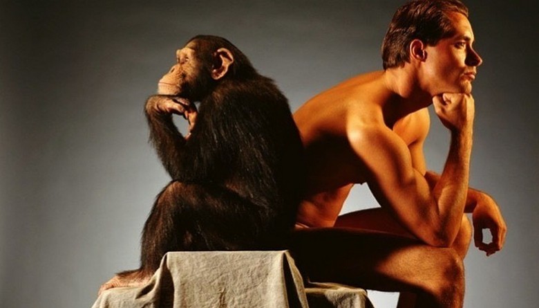 Naučnici su otkrili šta je majmuna pretvorilo u čovjeka