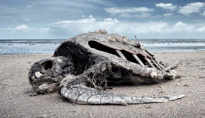 Naučnici upozoravaju na