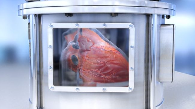 Naučnici su stvorili funkcionalne mikrokopije ljudskih organa 