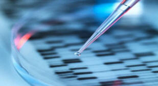 Naučnici su u laboratoriji podigli stomak čoveku