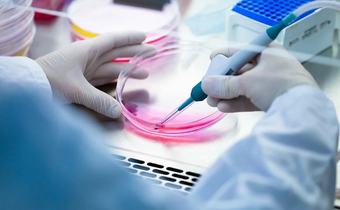 Naučnici prevladavaju dijabetes sa matičnim ćelijama za dva tjedna