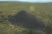 Naučnici su počeli rješavati misterij takozvane 'Doline smrti' 