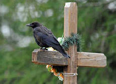 Naučnik je vidio šta se događa sa dušom nakon smrti!