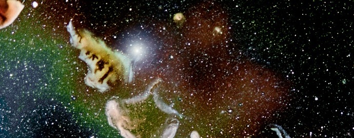 Neverovatne fotografije: mikrokosmos u objektivu