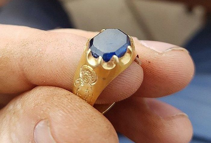 Nevjerojatan dar iz šume Šervuda