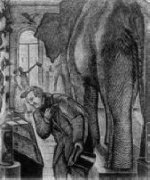 Pametni ljudi vide muhu, ali nedostaju slonu