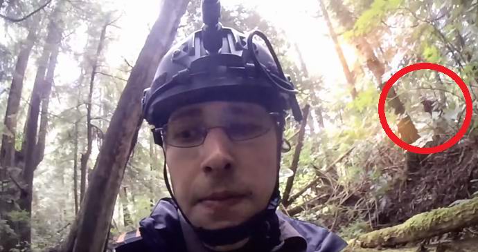 Yeti slučajno primećen u američkoj televizijskoj emisiji