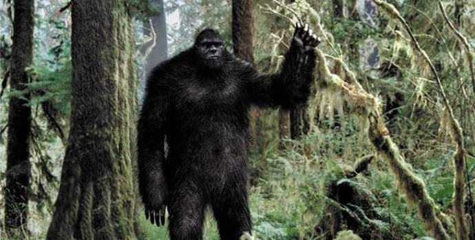 Bigfoot je snimljen u američkoj šumi