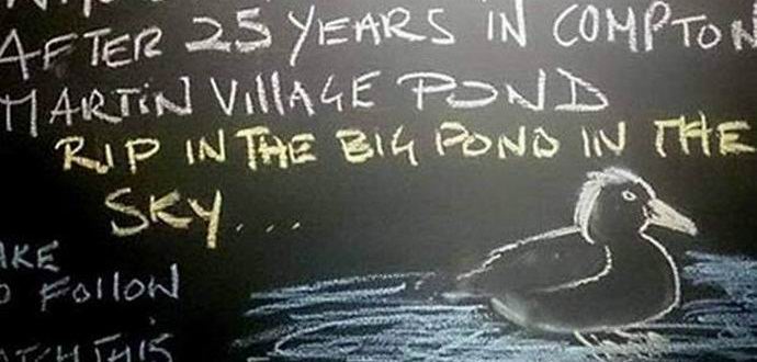 Na selu u Engleskoj žele da sahrane zmaja sa počastima