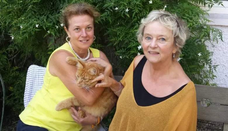 Mačke misteriozno nestaju na selu u Engleskoj