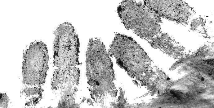 Otisci otisaka pronađeni u engleskom muzeju