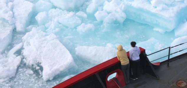 Ogromni kontinenti bili su na Arktiku pre milione godina.