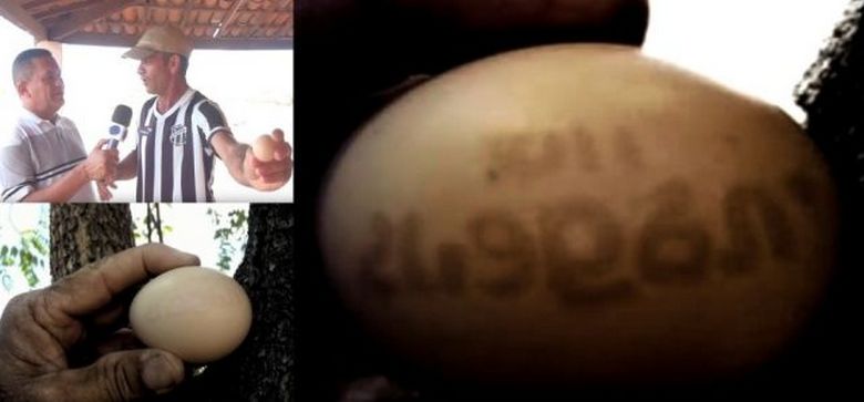 U Brazilu je piletina položila jaje s brojevima i simbolima.