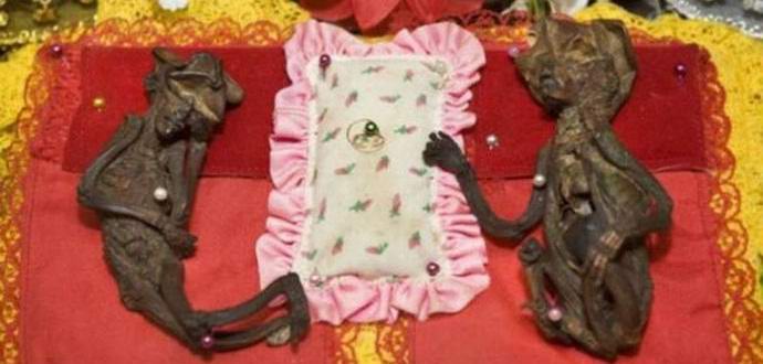 Mumificirane vile čuvaju se u budističkom hramu