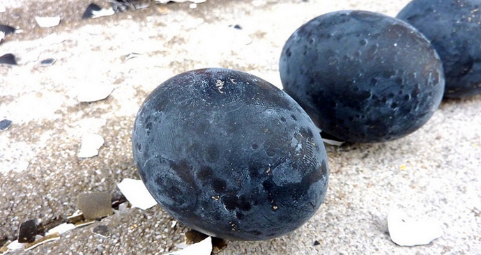 U jajima crnog zmaja tajna produženja života