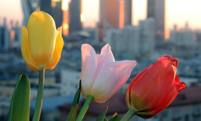 8. marta - zanimljive činjenice o ženama!