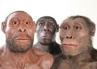 U Etiopiji su otkrivene kamene koplje starije od čovječanstva.