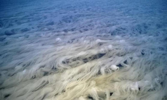 U finskom jezeru formirano