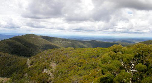 mount_kaputar.jpg.492x0_q85_crop-smart