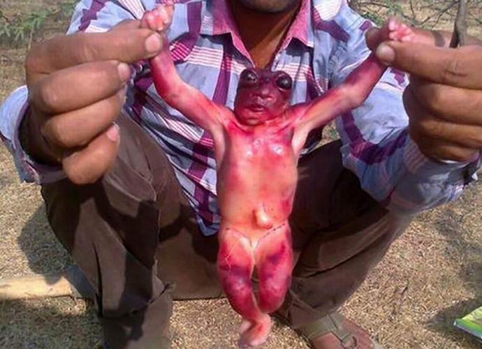 U Indiji pronašli tijelo nevjerovatnog stvorenja