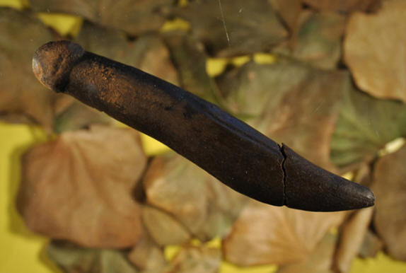 Predmet iz Švedske. Takođe se svađaju oko njegove namene.