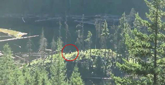 Snježni čovjek snimljen u Kanadi