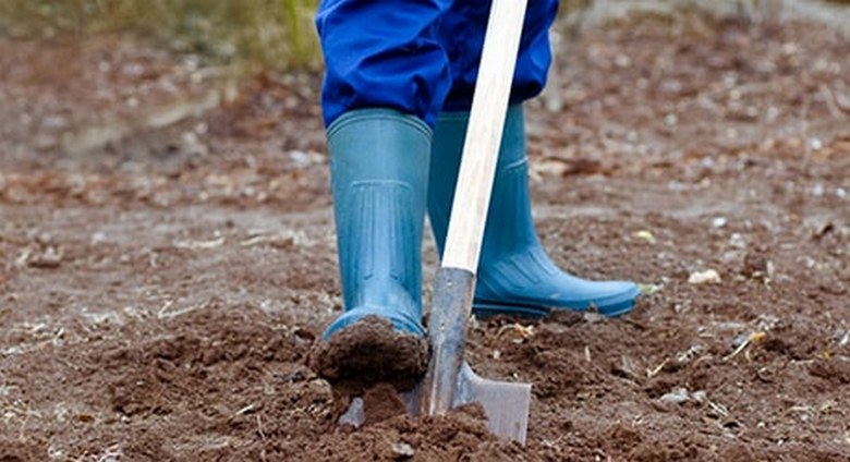 Dobro očuvan srednjovjekovni brod pronađen u Kazahstanu