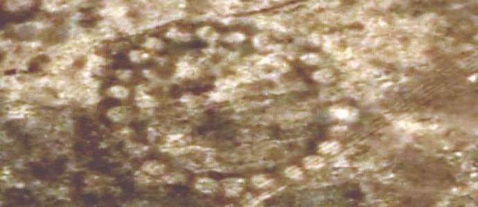 U Kazahstanu su otkriveni ogromni crteži zemlje