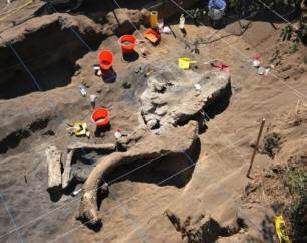 U Meksiku su pronađeni ostaci odraslog mamuta