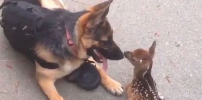 Mala čuda se stalno događaju u prirodi