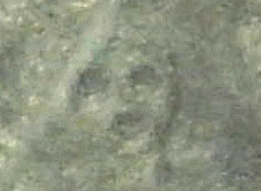 Portret na platou Nazce.