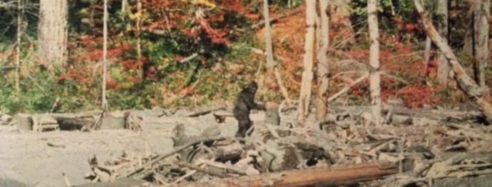 Kostur snjegovića pojavio se u rukama naučnika