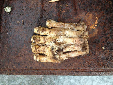 Stručnjaci ne ustručavaju se pretpostaviti da ovo stopalo pripada velikonogi