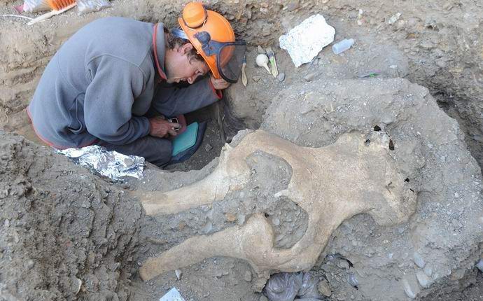 U Sjedinjenim Državama otkrivena misteriozna lobanja