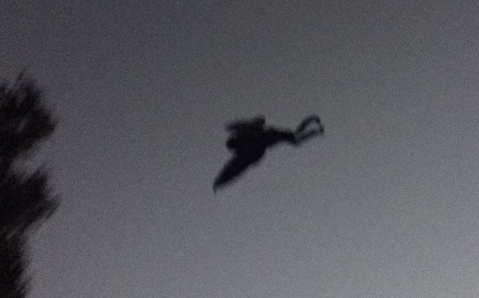 U Sjedinjenim Američkim Državama legendarni Moth Man ponovo je fotografiran.