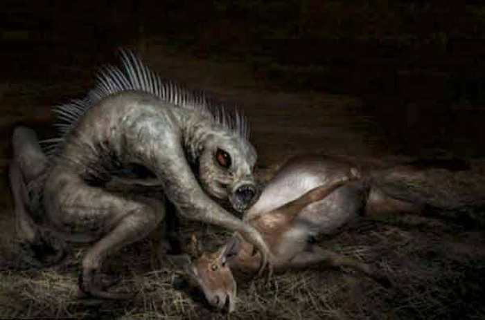 Chupacabra se pojavila u Ufi