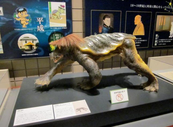 U Japanu će biti prikazani mumificirani ostaci japanske vodene vode