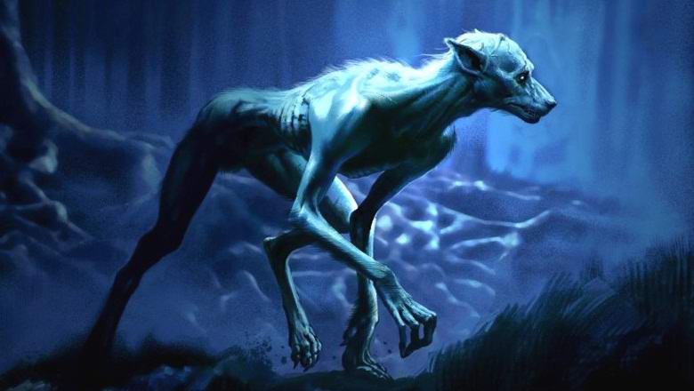 U Južnoj Africi snimali legendarnog čoveka-psa?