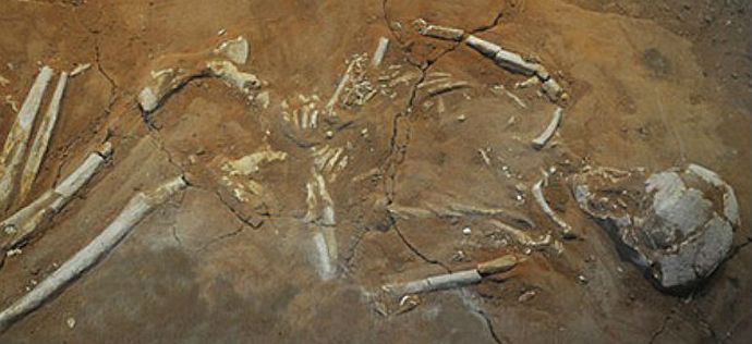 Vampiri još uvek žive među nama.