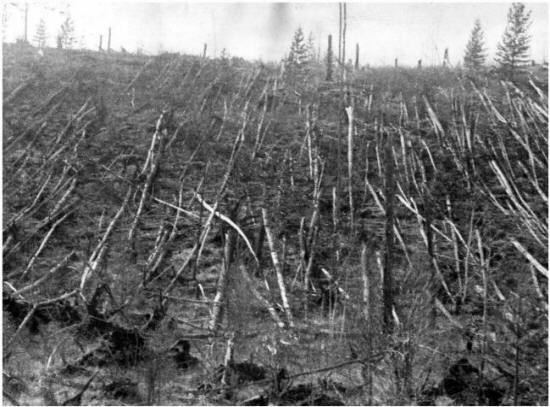 Verzije: Tunguska eksplozija - preteča globalne katastrofe