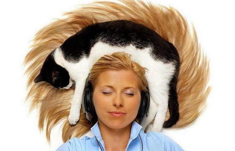 Video mačića s ljudskom glavom izazvao je široku odjek na Internetu