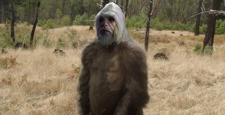 Videozapis s yetijem izazvao je burnu raspravu na Internetu