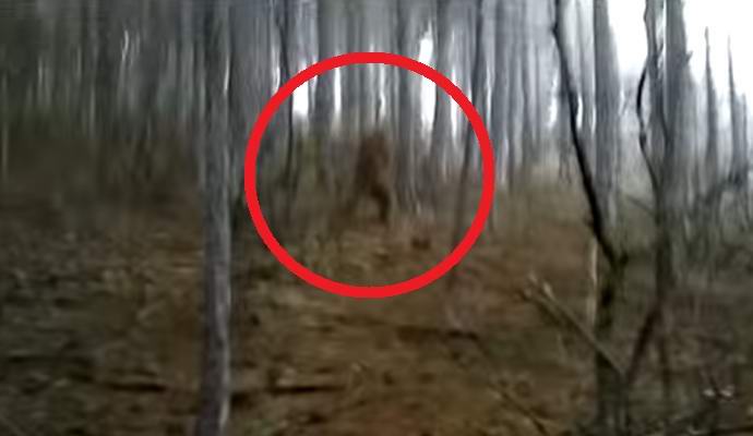 Video snjegovića na Krimu koji zanima Internet