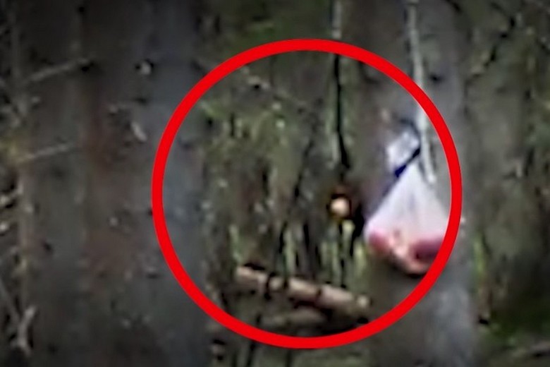 Video zamka u gustoj šumi Komija