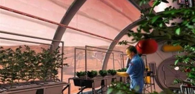 Uzgajajte voće i povrće pravo na marsovima