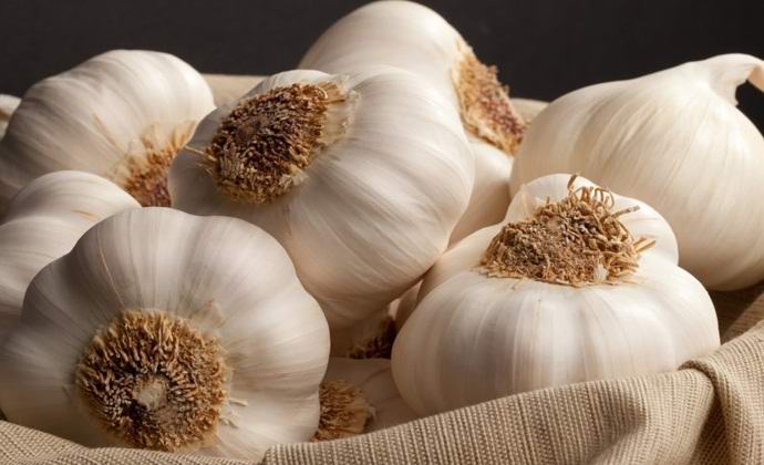 Ukus belog luka može se osjetiti ... nogom